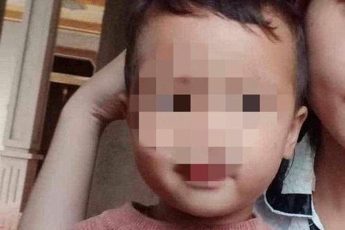 Lời kể của người phát hiện bé trai 2 tuổi mất tích bí ẩn ở Nghệ An