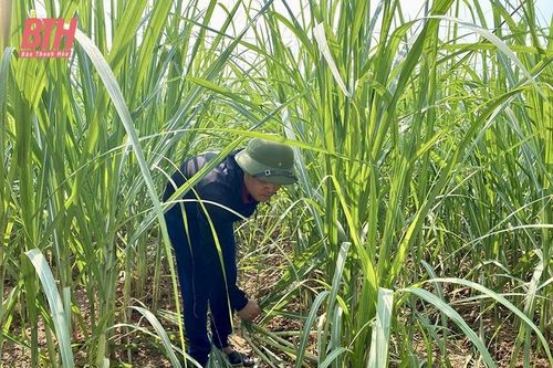 Tỏa sáng nghị lực của những 'vầng trăng khuyết'