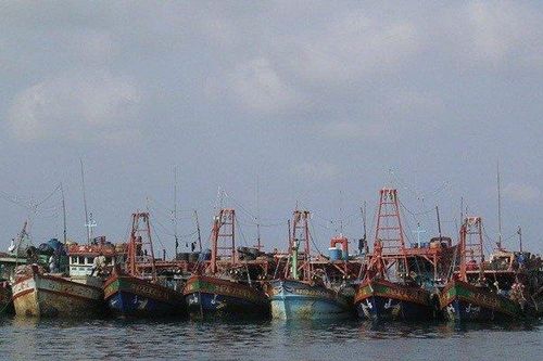 Bà Rịa - Vũng Tàu phạt chủ tàu và thuyền trưởng tàu cá gần 1,4 tỷ đồng