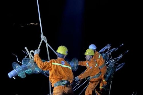 Ngày này năm xưa 3/12: Quốc hội thông qua Luật Cạnh tranh, Luật Điện lực; Ngày Quốc tế người khuyết tật