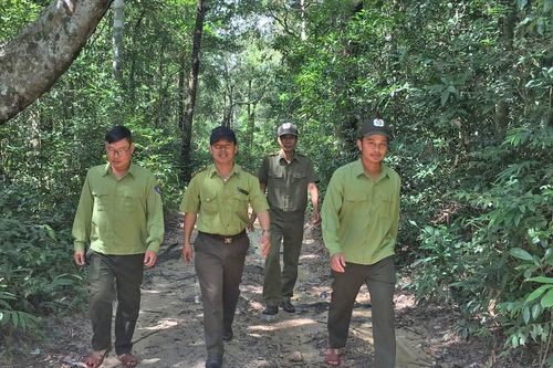 Hỗ trợ người dân phát triển lâm nghiệp bền vững: Nhiều khó khăn cần tháo gỡ