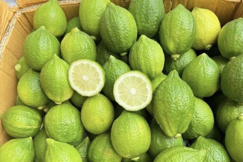 Hậu 'cơn sốt' trà chanh giã tay, chanh tươi Quảng Đông hạ giá mạnh