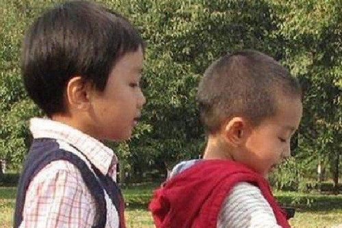 Hai con song sinh không giống nhau, xét nghiệm ADN, mẹ phát hiện sự thật 'động trời'