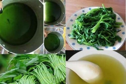 Tạm dừng ăn rau muống ngay lập tức khi phát hiện dấu hiệu này