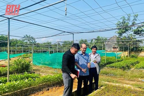 Thường Xuân chú trọng phát triển HTX đa dịch vụ