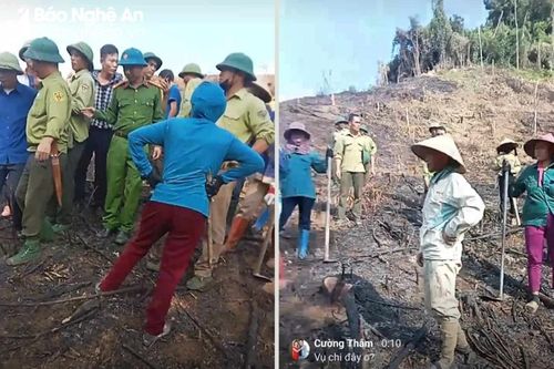 Lập Tổ công tác liên ngành kiểm tra, xử lý việc trồng cây, chiếm đất ở Poom Lầu