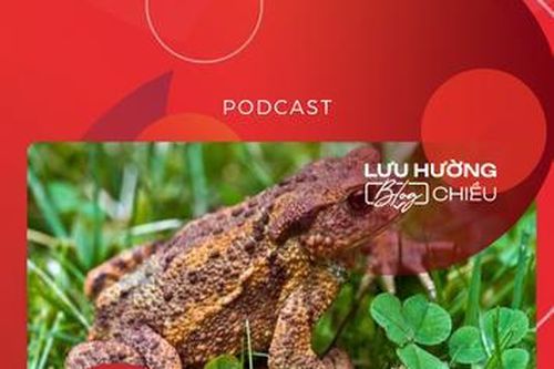 Cóc ở Tứ Xuyên