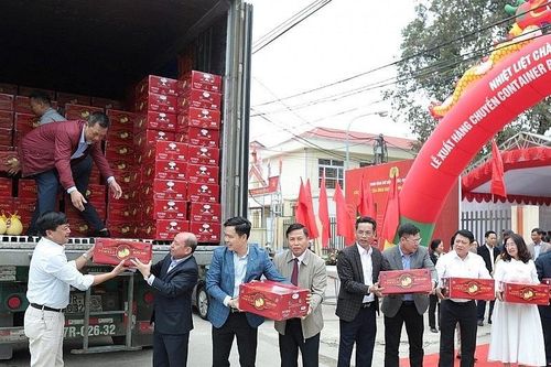 Xuất khẩu ngày 4-8/12: Rau quả kiếm 'bộn tiền'; xuất nhập khẩu Việt Nam – Hoa Kỳ vượt mốc 100 tỷ USD