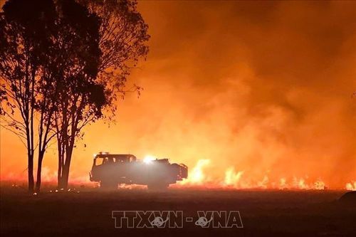 Australia: Nguy cơ cháy rừng thảm khốc ở bang South Australia