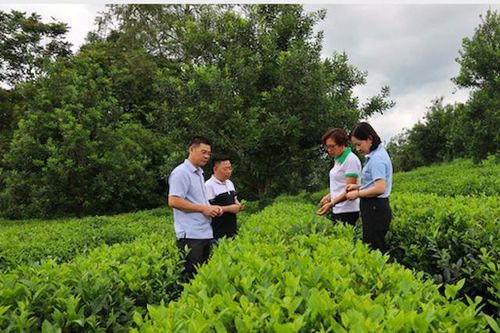 HTX làm giàu nhờ ứng dụng công nghệ vào sản xuất