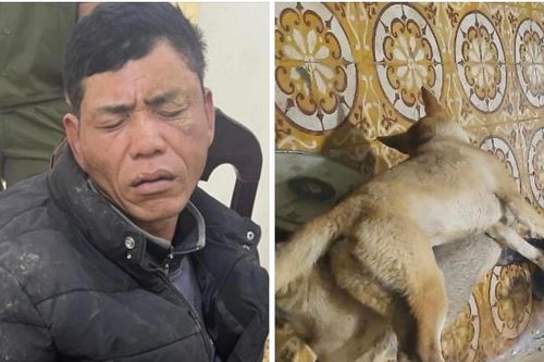 Đã có 5 tiền án, gã đàn ông tiếp tục đi...trộm chó