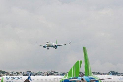 Bamboo Airways bổ sung tàu bay phục vụ cao điểm Tết 2024