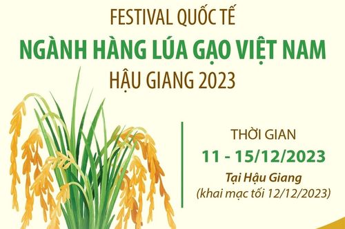 Festival Quốc tế ngành hàng lúa gạo Việt Nam tại Hậu Giang