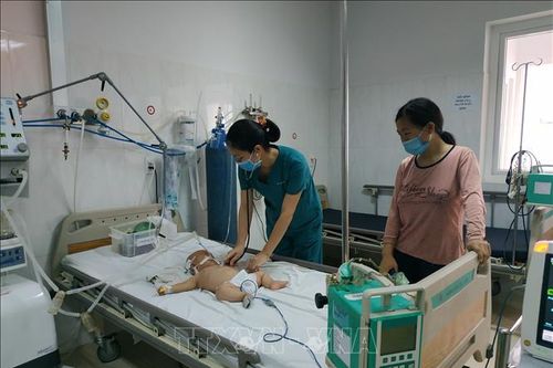Đắk Lắk ghi nhận hai trường hợp bệnh nhi mắc viêm não Nhật Bản