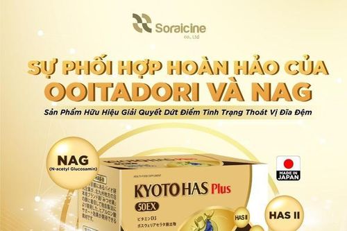 Kyoto Has 50EX Plus - Giải pháp đột phá đến từ Nhật Bản cho người bị thoát vị đĩa đệm