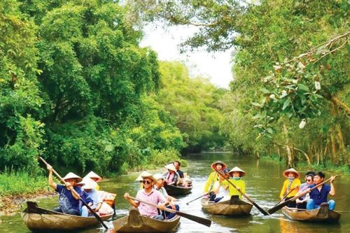 Đến Đồng Tháp, thưởng thức 'đặc sản' câu cá, chèo xuồng ngắm sen
