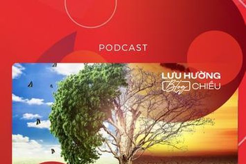 Họa phúc có nguồn