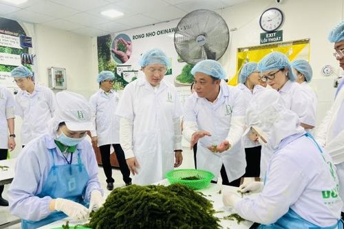 Sản phẩm công nghiệp nông thôn tiêu biểu cấp quốc gia: Cơ hội quảng bá, phát triển thương hiệu