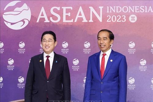 Indonesia và Nhật Bản nhất trí dỡ bỏ thêm rào cản thương mại