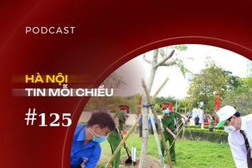 Hà Nội sẽ phủ xanh phố phường | Hà Nội tin mỗi chiều