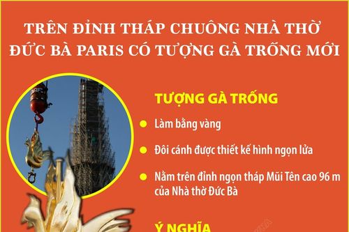 Tượng gà trống mới trên đỉnh tháp chuông Nhà thờ Đức Bà Paris