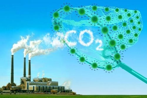 Việt Nam giảm thiểu tương đương 1,4 triệu tấn CO2 mỗi năm