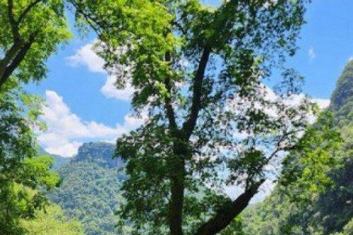 Quảng Bình bán 'không khí': Những đối tượng được nhận tiền là ai?