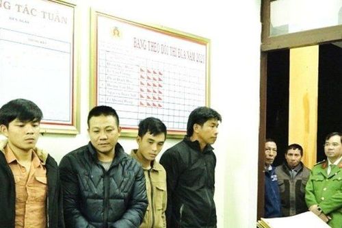 Quảng Bình: Tạm giam 5 đối tượng trộm hơn 40 tấn cây keo trong đêm