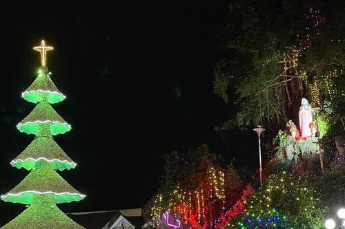 Chiêm ngưỡng cây thông Noel được trang trí hàng triệu vỏ sò, hàu, ốc
