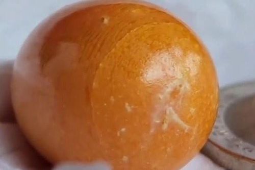 Người phụ nữ phát hiện 'viên đá lạ' trong con ốc biển