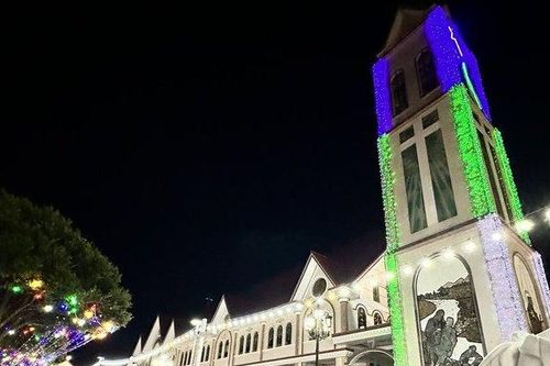Lâm Đồng: Không khí trước lễ Giáng sinh nơi thành phố ngàn hoa