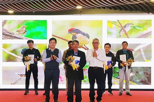 15 tác phẩm đạt giải cuộc thi ảnh về môi trường và đa dạng sinh học Đà Nẵng