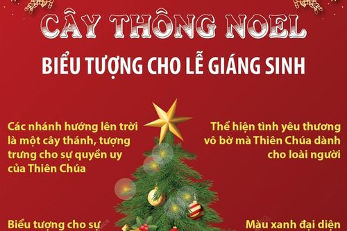 Cây thông Noel - biểu tượng cho lễ Giáng sinh