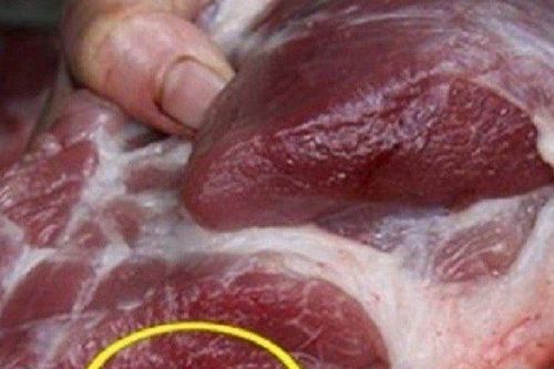 Vì sao nói 'chớ mua thịt lợn sớm, tránh mua đậu phụ muộn'?