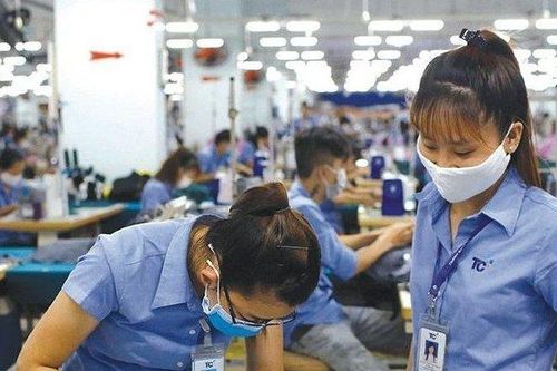 Hệ thống giáo dục nghề nghiệp nên do Bộ nào quản lý?