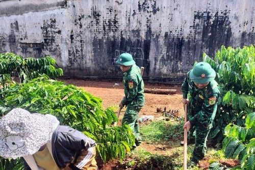 Gia Lai: Bộ đội Biên phòng chung tay giúp dân thoát nghèo