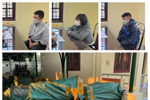 Lào Cai: Vận chuyển 1 tấn cá tầm chết để nhận công 5 triệu đồng