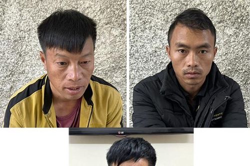 Tạm giữ 3 đối tượng tổ chức đánh bạc bằng hình thức chọi trâu