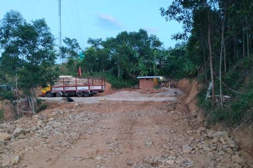 Ẩn họa từ hàng loạt trạm cân thu mua gỗ rừng trồng
