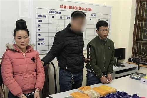 Kiểm soát xuất nhập khẩu tiền chất, hóa chất hợp pháp để sản xuất ma túy