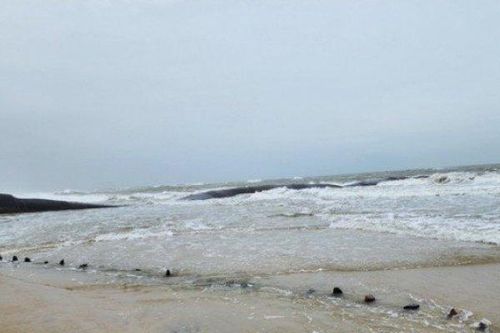 Tin tức 24h qua: Hé lộ về tàu cổ trồi lên bờ biển Hội An