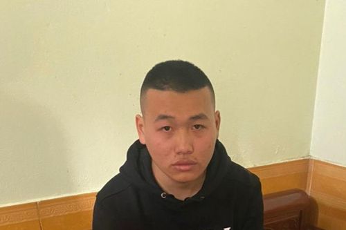 Mạo danh đại lý phân phối sữa nổi tiếng, lừa đảo hàng trăm triệu đồng