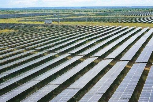 Năng lượng Lộc Ninh 3 xây nhà máy điện mặt trời dù chưa được cấp phép