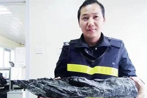 Đào được khúc gỗ lạ, chuyên gia nhận định 'bảo vật' khó kiếm