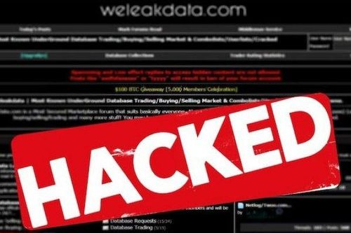 Mỗi tháng phát hiện hơn 1.700 bài đăng rao bán dữ liệu trên các web đen