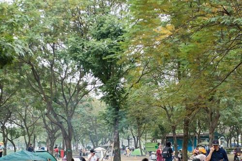 Người dân Hà Nội 'đổ xô' đến công viên trong tiết trời dịu mát
