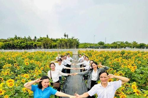 Du khách các nơi đổ về tham dự Festival hoa - kiểng Sa Đéc