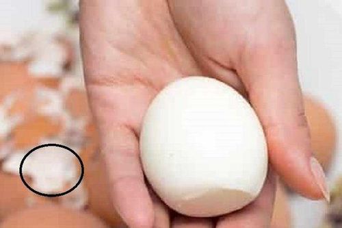 Khi luộc trứng nhớ cho 2 thứ này, vừa ngon lại róc vỏ nhanh không ngờ