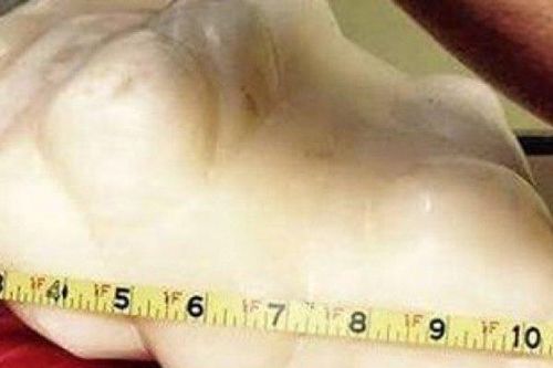 Đem khối đá lạ về đặt dưới gầm giường, 10 năm sau anh chàng sốc với núi tiền 'khủng'
