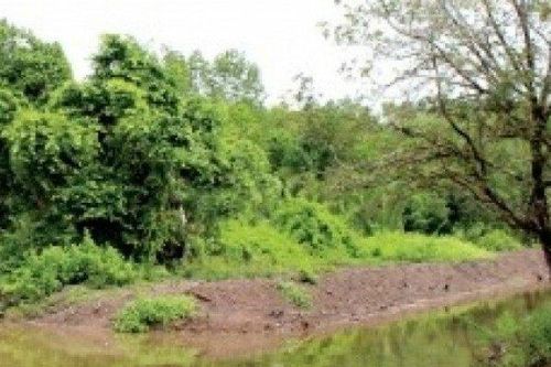 Bị con bò nặng 200kg đá, người đàn ông tử vong